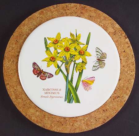 Botanic Garden 7" Round Cork Front & Back Trivet