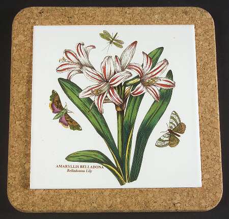 Botanic Garden 7" Square Cork Back Trivet