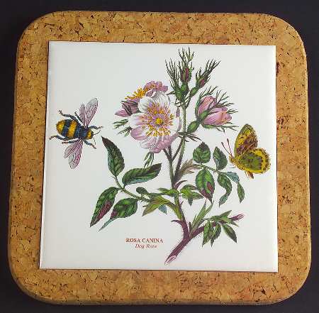 Botanic Garden 7" Square Cork Back Trivet
