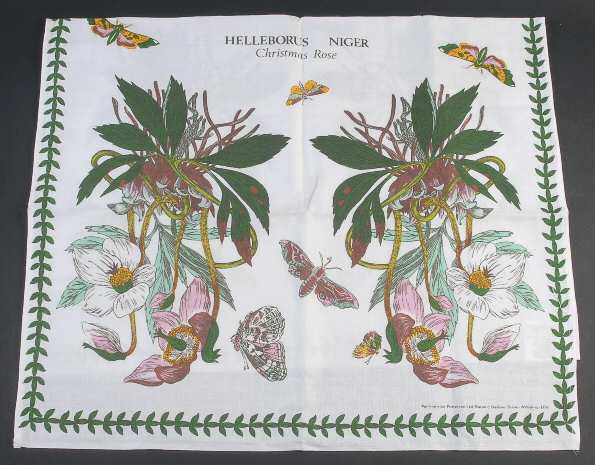 Botanic Garden 29" X 19" Tea Towel