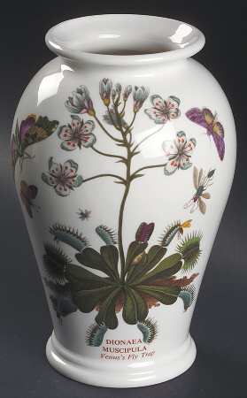 Botanic Garden 8" Canton Vase