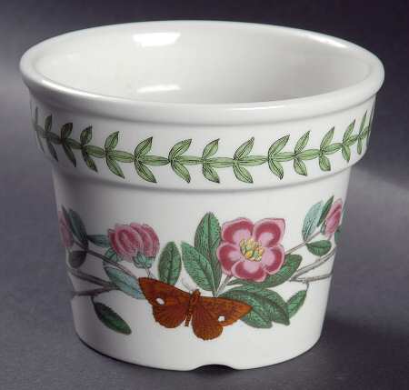 Botanic Garden 2" Herb Pot