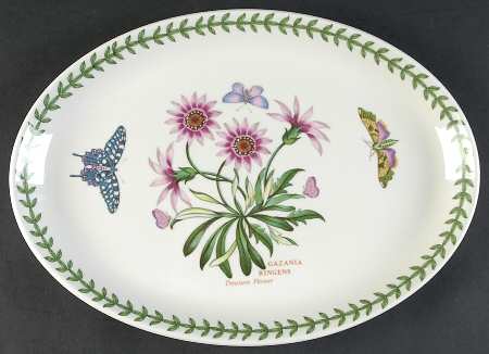 Botanic Garden 13" Oval Steak Platter
