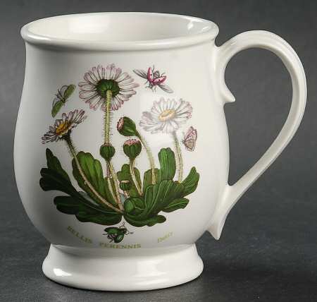 Botanic Garden Bristol Mug