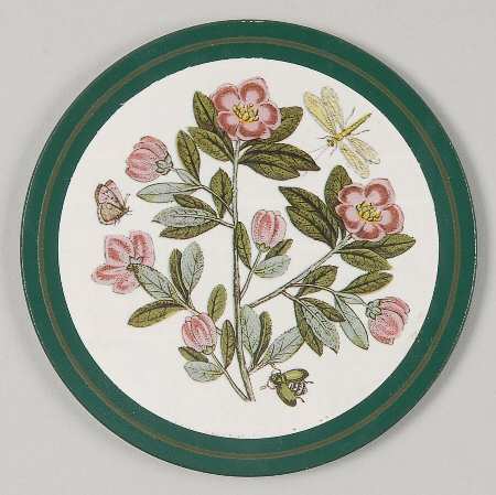 Botanic Garden Round Cork Back Coaster