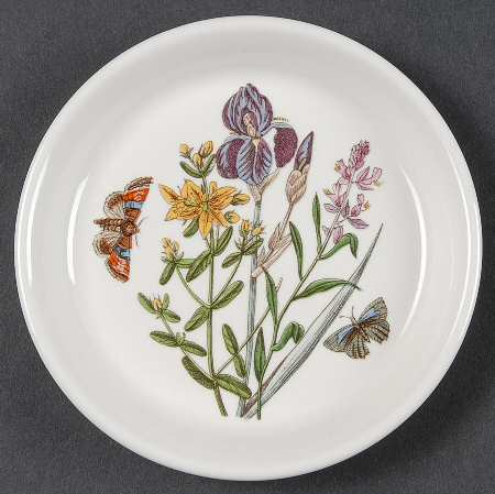 Botanic Garden Coaster