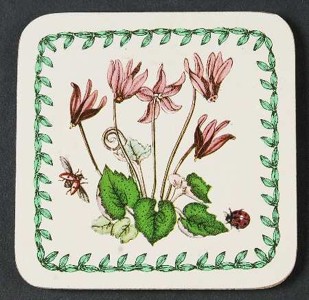 Botanic Garden Square Corkback Coaster