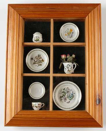 Botanic Garden 25th Anniversary Shadow Box