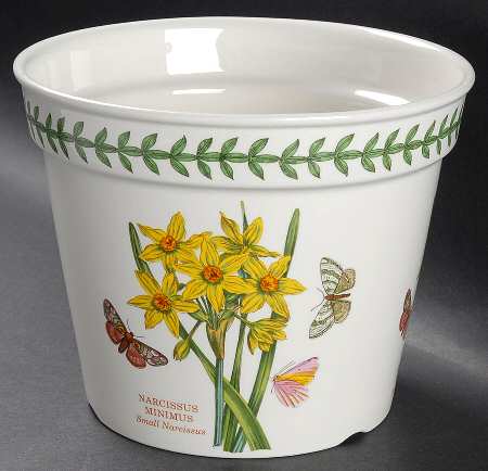 Botanic Garden 6" Flower Pot with Drain Hole