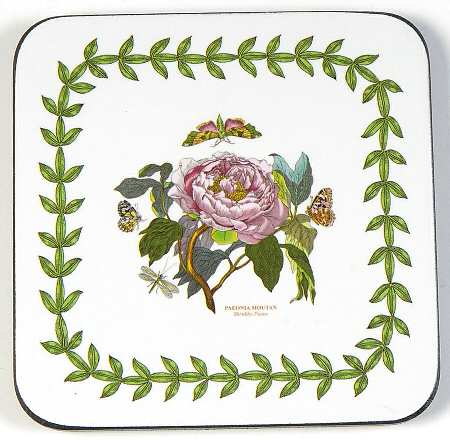 Botanic Garden Square Corkback Coaster