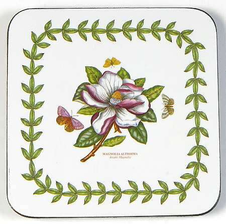 Botanic Garden Square Corkback Coaster