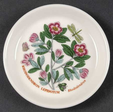 Botanic Garden Coaster