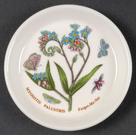 Botanic Garden Coaster