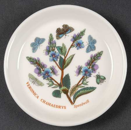 Botanic Garden Coaster