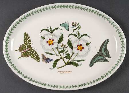 Botanic Garden 13" Oval Steak Platter
