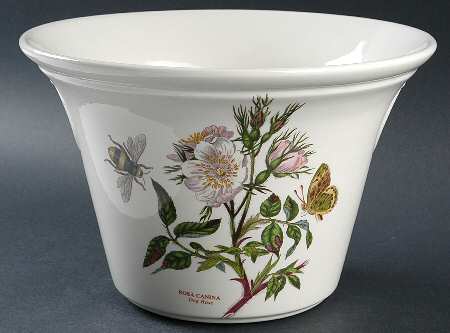 Botanic Garden 6" Flared Planter