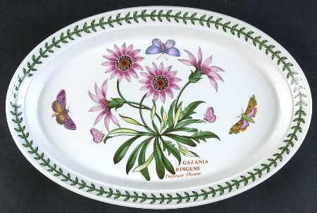 Botanic Garden 11" Oval Steak Platter