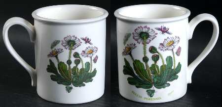 Botanic Garden Breakfast Mug