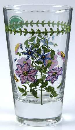 Botanic Garden 16 Oz Glassware Highball