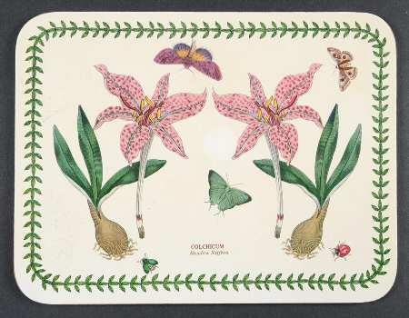 Botanic Garden 10" Rectangular Corkboard Placemat