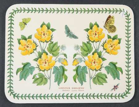 Botanic Garden 10" Rectangular Corkboard Placemat