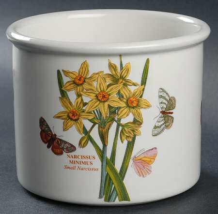 Botanic Garden 4 3/4" Planter Pot