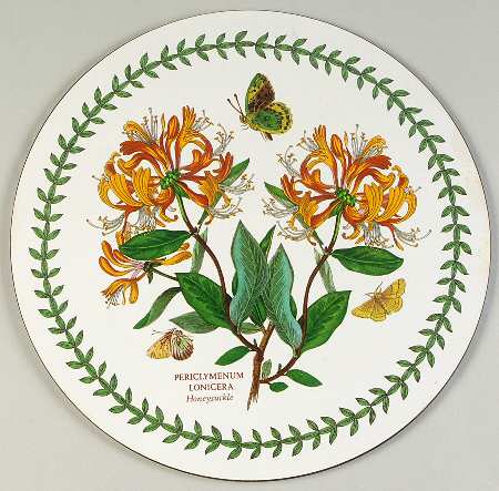 Botanic Garden Round Placemat with Cork Back