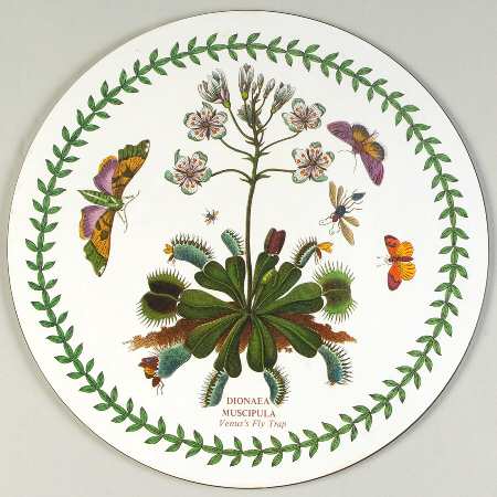 Botanic Garden Round Placemat with Cork Back
