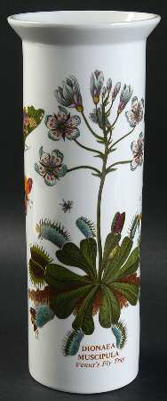 Botanic Garden 9" Serif Vase