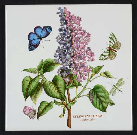 Botanic Garden 6" Wall Tile Aka Tile Insert