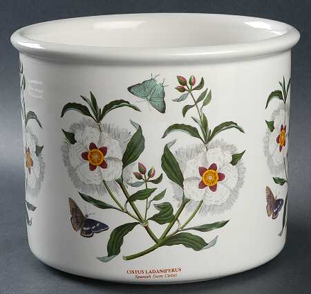 Botanic Garden 6" Planter Pot