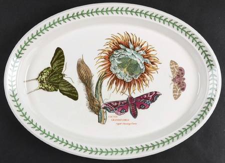 Botanic Garden 13" Oval Steak Platter
