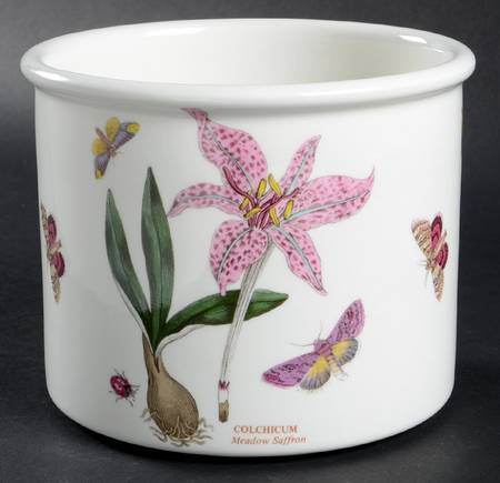 Botanic Garden 4 3/4" Planter Pot