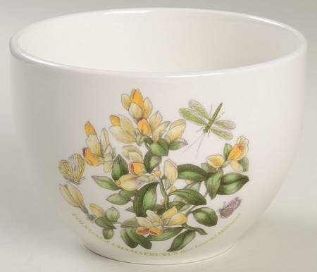 Botanic Garden Chili Bowl