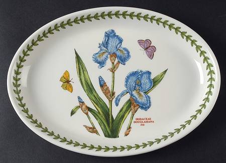 Botanic Garden 10" Oval Steak Platter