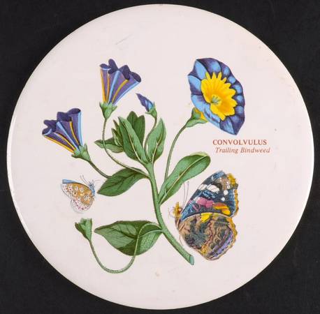 Botanic Garden 6" Round Trivet