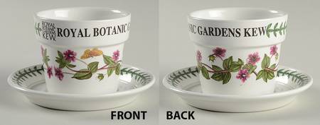 Botanic Garden 2" Herb Pot w/Underplate