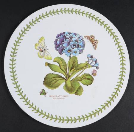 Botanic Garden Round Corkboard Placemat