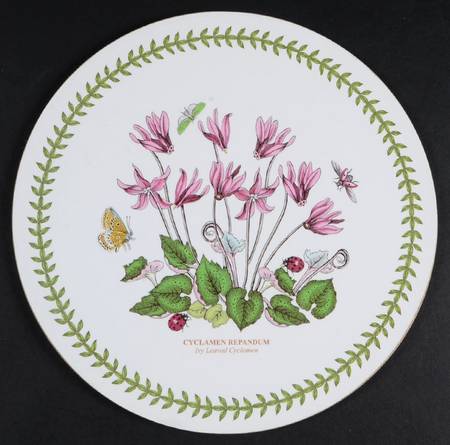 Botanic Garden Round Corkboard Placemat