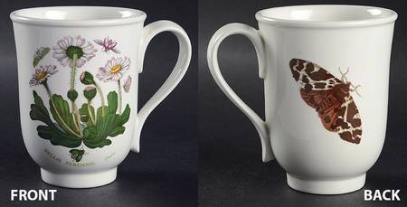 Botanic Garden Beaker (English Mug)