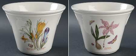 Botanic Garden 6" Flared Planter