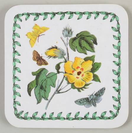 Botanic Garden Square Wood Coaster W/Felt Back