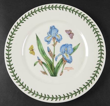 Botanic Garden Flat Dinner Plate with Large Rim