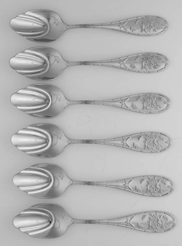 Botanic Garden All Stainless Dessert Spoon - Set of 6