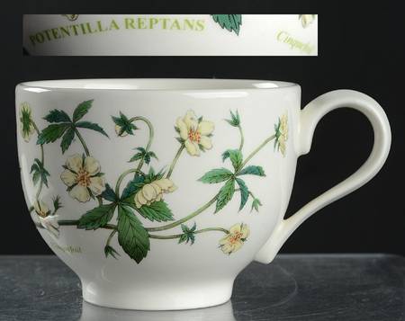 Botanic Garden Traditional Footed Cup