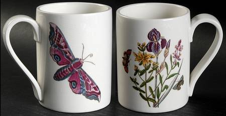 Botanic Garden 1972 Flower & Butterfly Mug