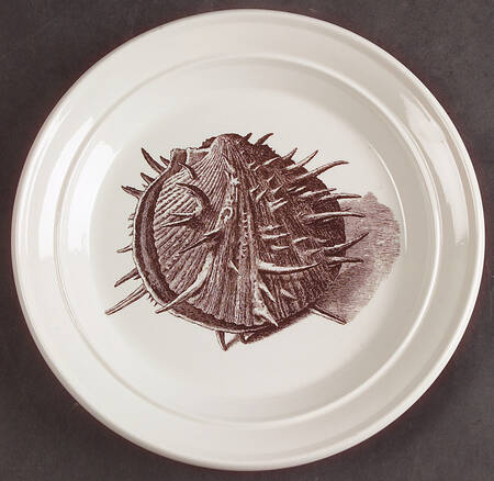 Kingdom of The Sea Salad Plate