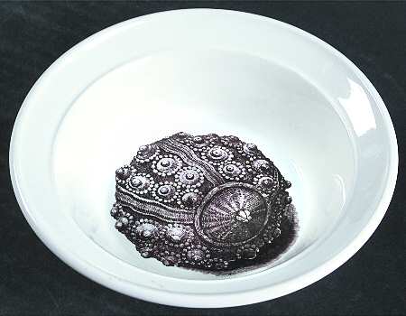 Kingdom of The Sea Rim Cereal Bowl