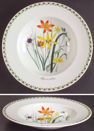 Ladies Flower Garden Large Rim Soup Bowl