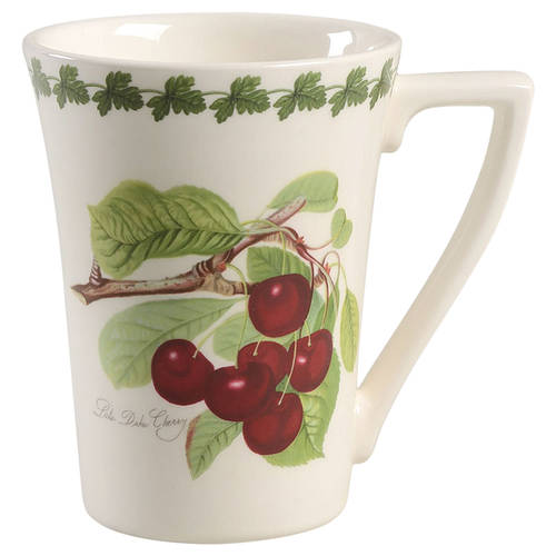 Pomona Mandarin Mug With Border by Portmeirion